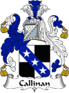 Callinan Coat of Arms