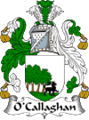 O'Callaghan Coat of Arms
